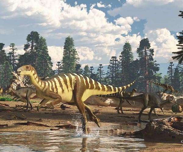 When dinosaurs disappeared, forests thrived