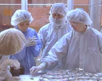 NASA's Genesis Mishap Board & Researchers Both Report Progress