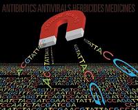 Genome mining effort discovers 19 new natural products in 4 years