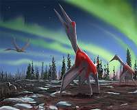 USC scientist identifies new species of giant flying reptile