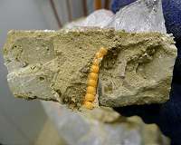 Experiments lead to slip law for better forecasts of glacier speed, sea-level rise