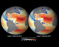 New maps of salinity reveal the impact of climate variability on oceans