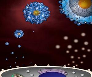 A 24-karat Gold Key to Unlock the Immune System