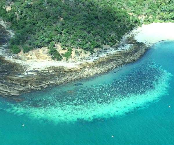 Australia's Great Barrier Reef in grip of 'mass bleaching event'