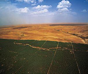 Unlikely alliances bringing back dead rivers, barren landscapes, and farm yields
