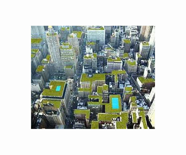 Green cities use space to boost well being