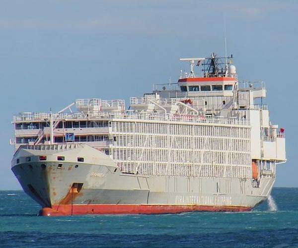 Desperate search for crew of ship sunk in typhoon off Japan