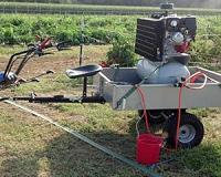 EU member states to vote on five-year weedkiller renewal next month