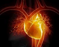 Bioengineered miniature structures could prevent heart failure