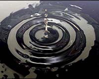 Oil shock brings cheer at last to EU's carbon market