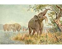 Early humans evolved in ecosystems unlike any found today