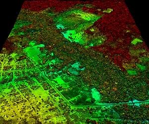 Low-carbon farming takes root in Brazil's Amazon