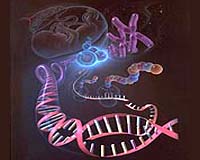 Researchers Urge Ethics Guidelines For Human-Genome Research