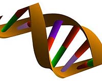 First Study Hints At Insights To Come From Genes Unique To Humans