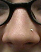 Tiny Inhaled Particles Take Easy Route From Nose To Brain