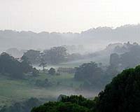 Half of Papua New Guinea's forests gone by 2021: study