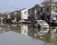 Why Nobody Stopped Katrina Mercy Killing Is Unclear