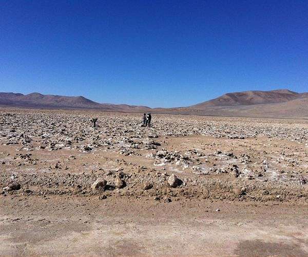 Mummified parrots suggest ancient trade routes crossed South American desert