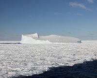 Antarctic sea ice may be a source of mercury in southern ocean fish and birds