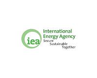 'New era' in solar energy fuelling growth in renewables: IEA