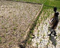 India says 330 million people suffering from drought
