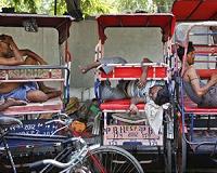 India wilts under heatwave as temperature hits 50 degrees Celsius