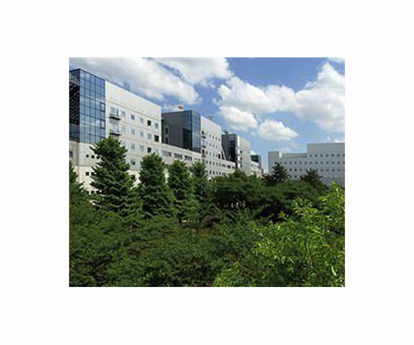 Petition against felling trees in historic Tokyo park area