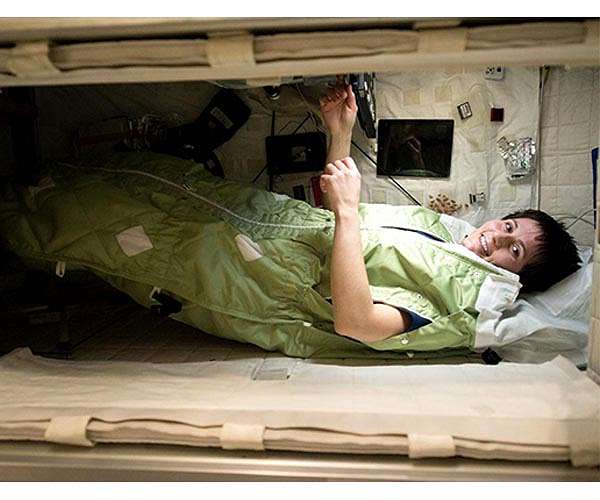 Hibernate for a trip to Mars, the bear way