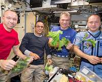 Safe crops as a dietary supplement to assist long-distance space missions