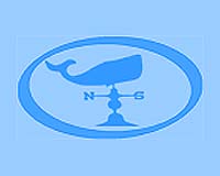 Whaling opponents slam commission over Japan talks