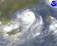 Four dead as southern China battered by Typhoon Mujigae