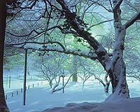 Meteorologists Predict Mild Winter For US