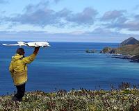 Call to minimize drone impact on wildlife