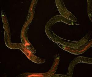 Rethinking bacterial persistence