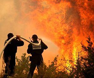 Forest fires are becoming larger and more frequent