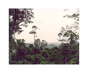 Climate change to hit Volta Basin for energy, farming