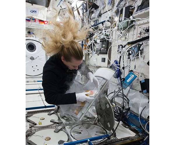 NSF and CASIS Announce 4th Annual Solicitation in Tissue Engineering and Mechanobiology to utilize ISS