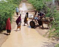 Aid Groups Push Kenya To Declare Flood Disaster
