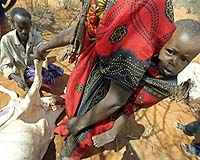 France, Japan Aid Drought-Hit Kenya
