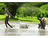 Seven killed as rains pound Kenya: police