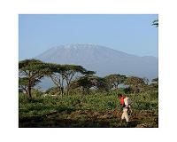 Mount Kilimanjaro: Ecosystems in global change