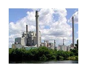 Spain approves country's largest biomass plant
