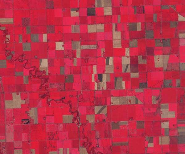Farmed soils are thinning across the globe, study finds