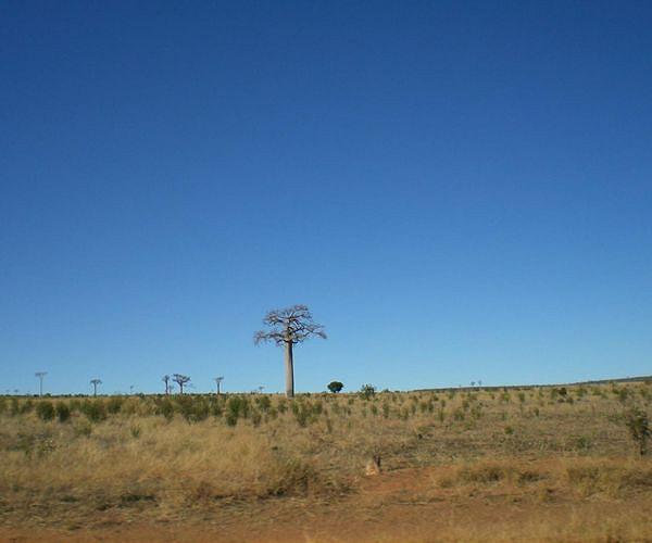 Amnesty urges immediate relief for famine-hit Madagascar