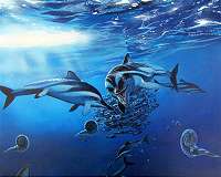 Ocean biodiversity has not increased substantially for hundreds of millions of years - new study