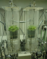 Galaxy Gardening More Than Hobby For Future Moon And Mars Residents