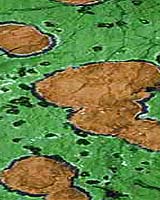 Map Of Life On Earth Could Be Used On Mars