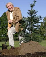 Jurassic Tree Planted At London Park