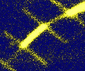 A new era in modern analytical chemistry with Nano-FTIR