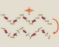 Scientists break the link between a quantum material's spin and orbital states